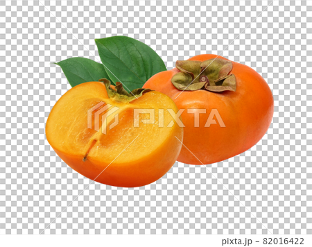 柿 かき イラスト リアル セットのイラスト素材 [82016422] - PIXTA