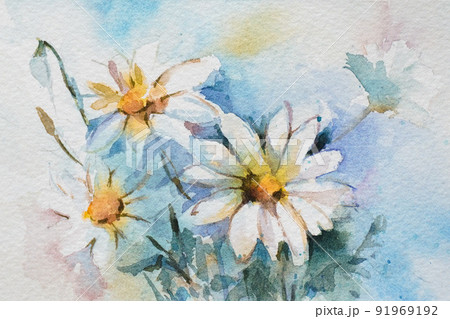 マーガレット 水彩画 のイラスト素材 [91969192] - PIXTA