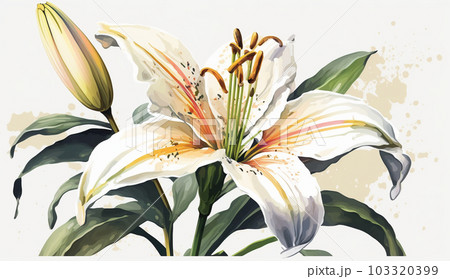 ユリの花 水彩画 シルバーフレーム ユリの花 水彩画 シルバーフレーム