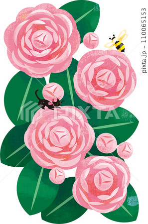 乙女椿と黒猫のイラスト素材 [110065153] - PIXTA