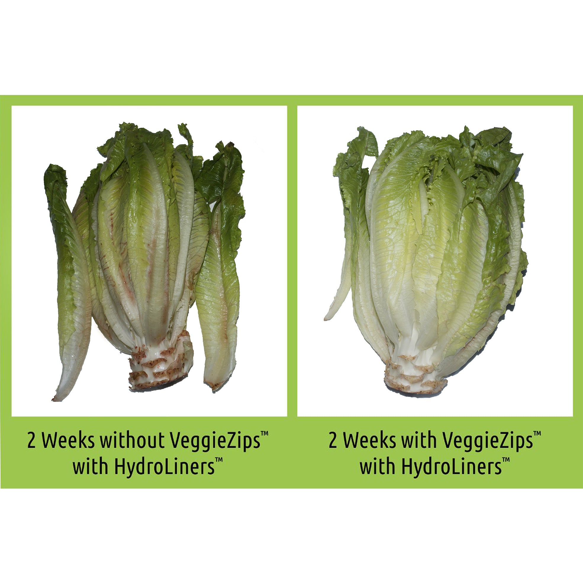 VeggieZips with HydroLiners 10-Pack – Bluapple