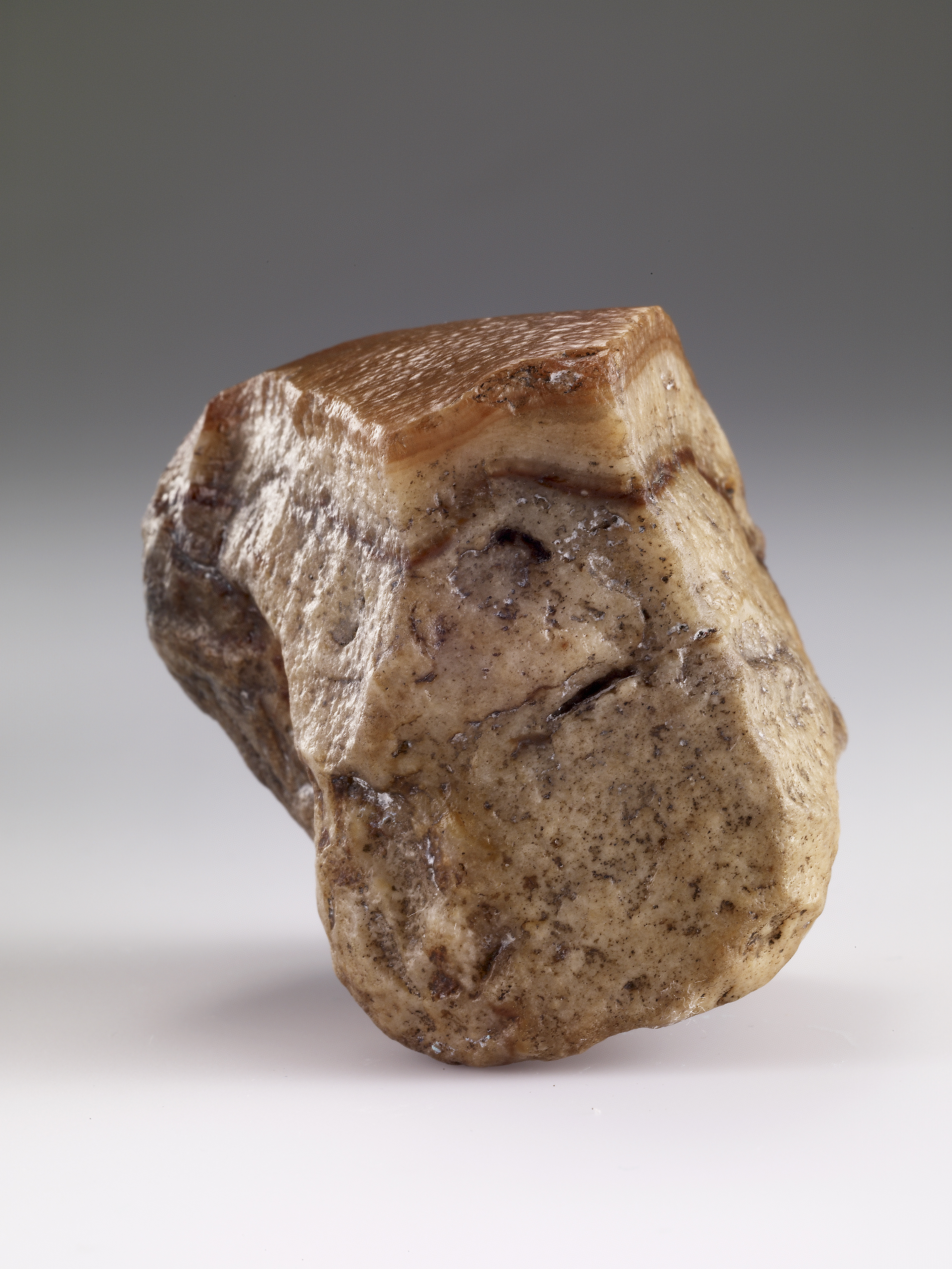 国立故宮博物院 3D文物鑑賞-3D文物-清 肉形石