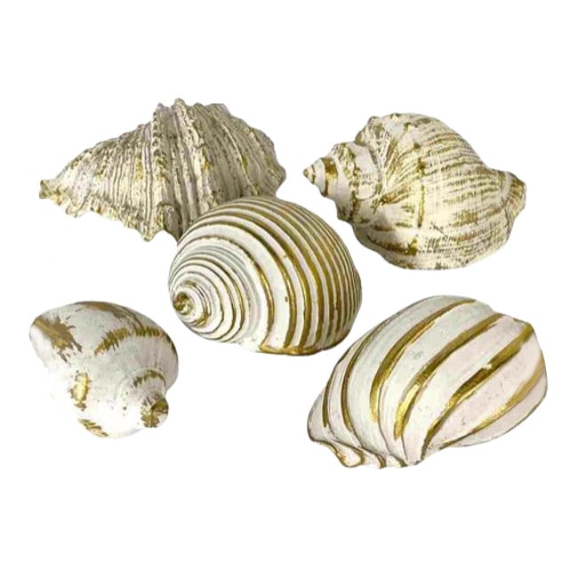 楽天市場】真珠貝 オブジェの通販