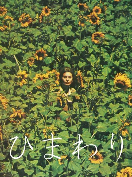 映画『ひまわり（Sunflower）』で流れる曲まとめ サウンドトラックなど