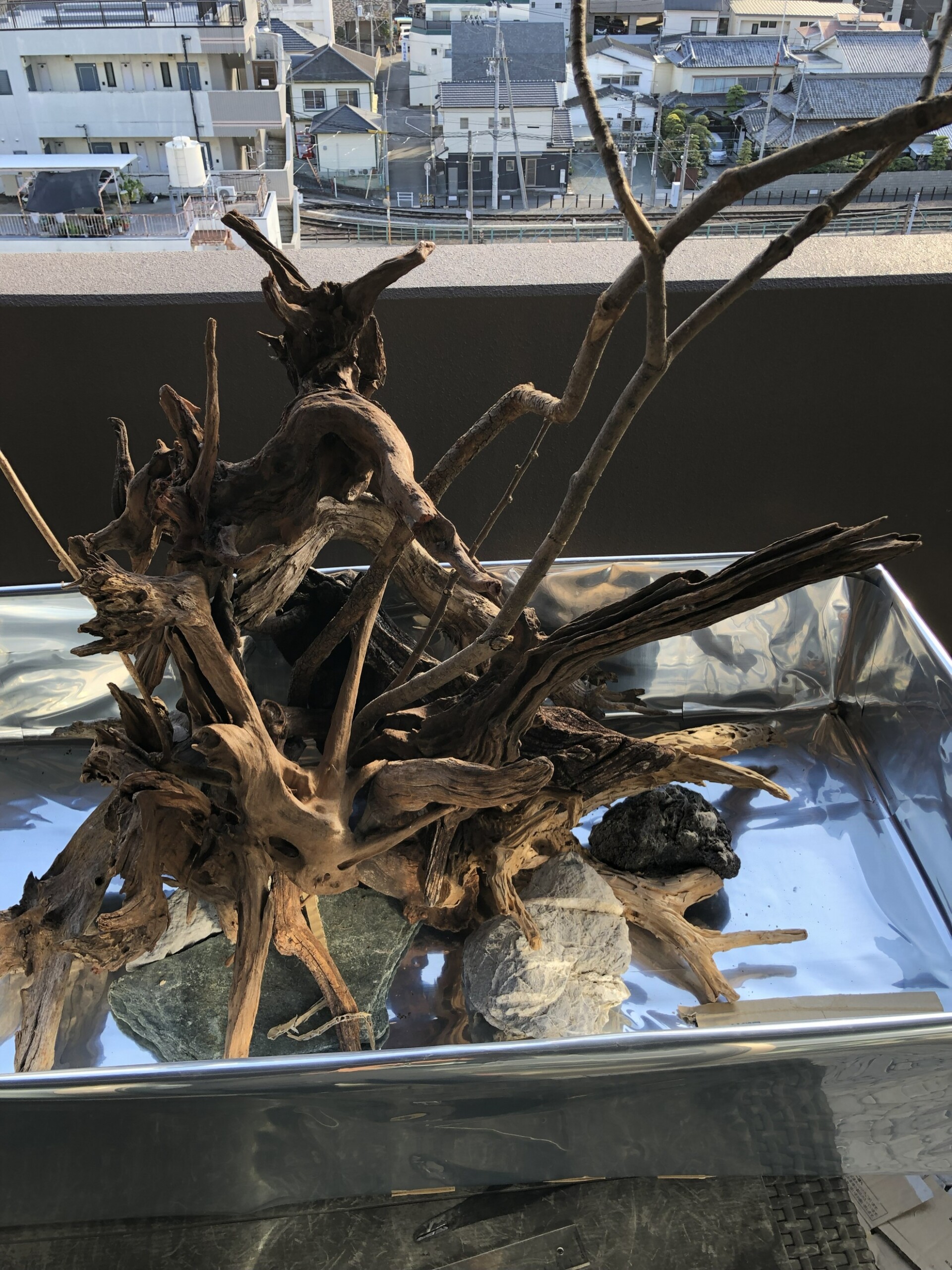 流木アーティフィシャルテラリウム - TOJO MEDIA