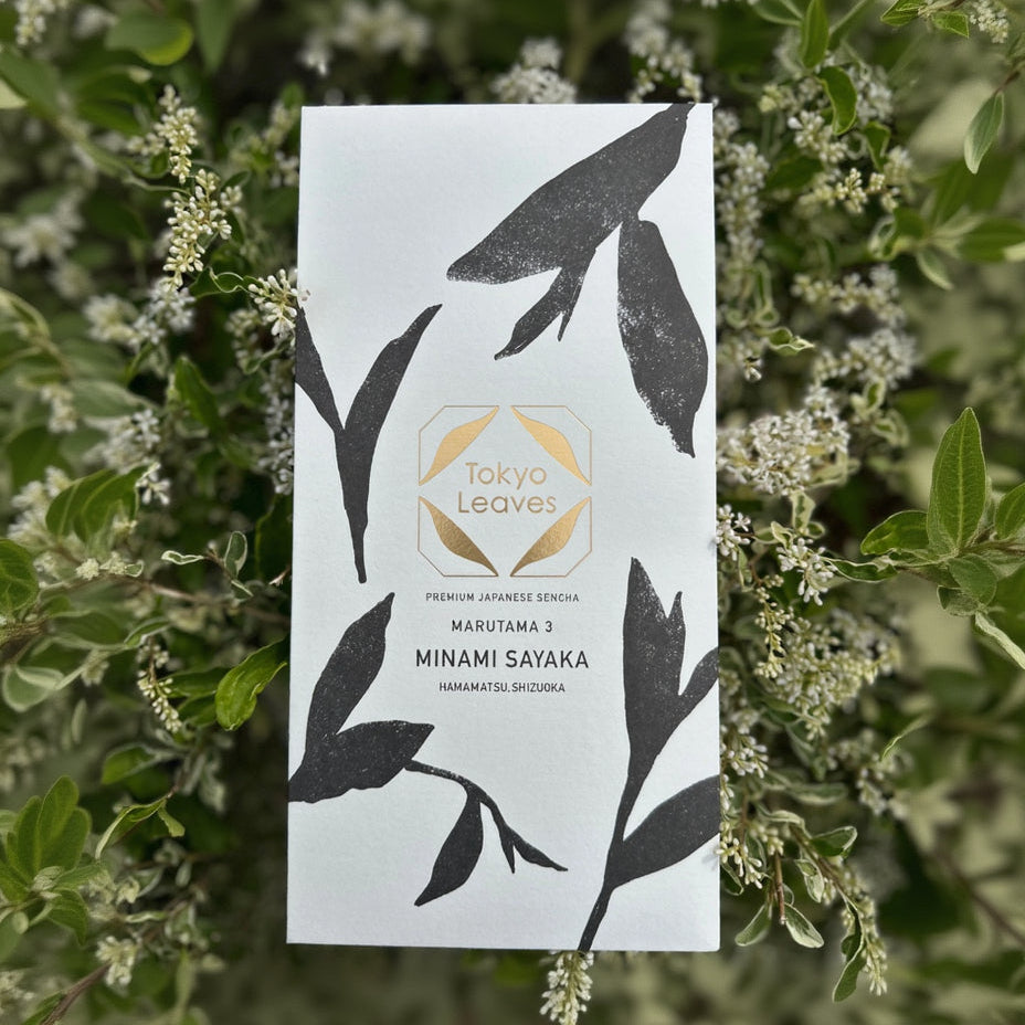 Matcha – TOKYO LEAVES