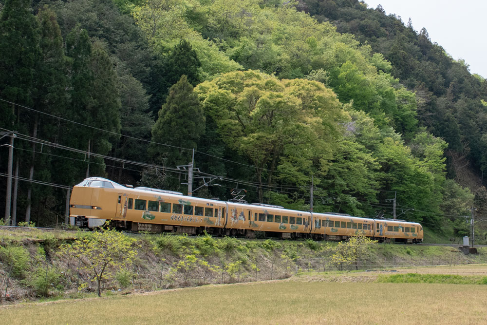 289系 | 鉄道写真 四季の中を走る鉄道車両