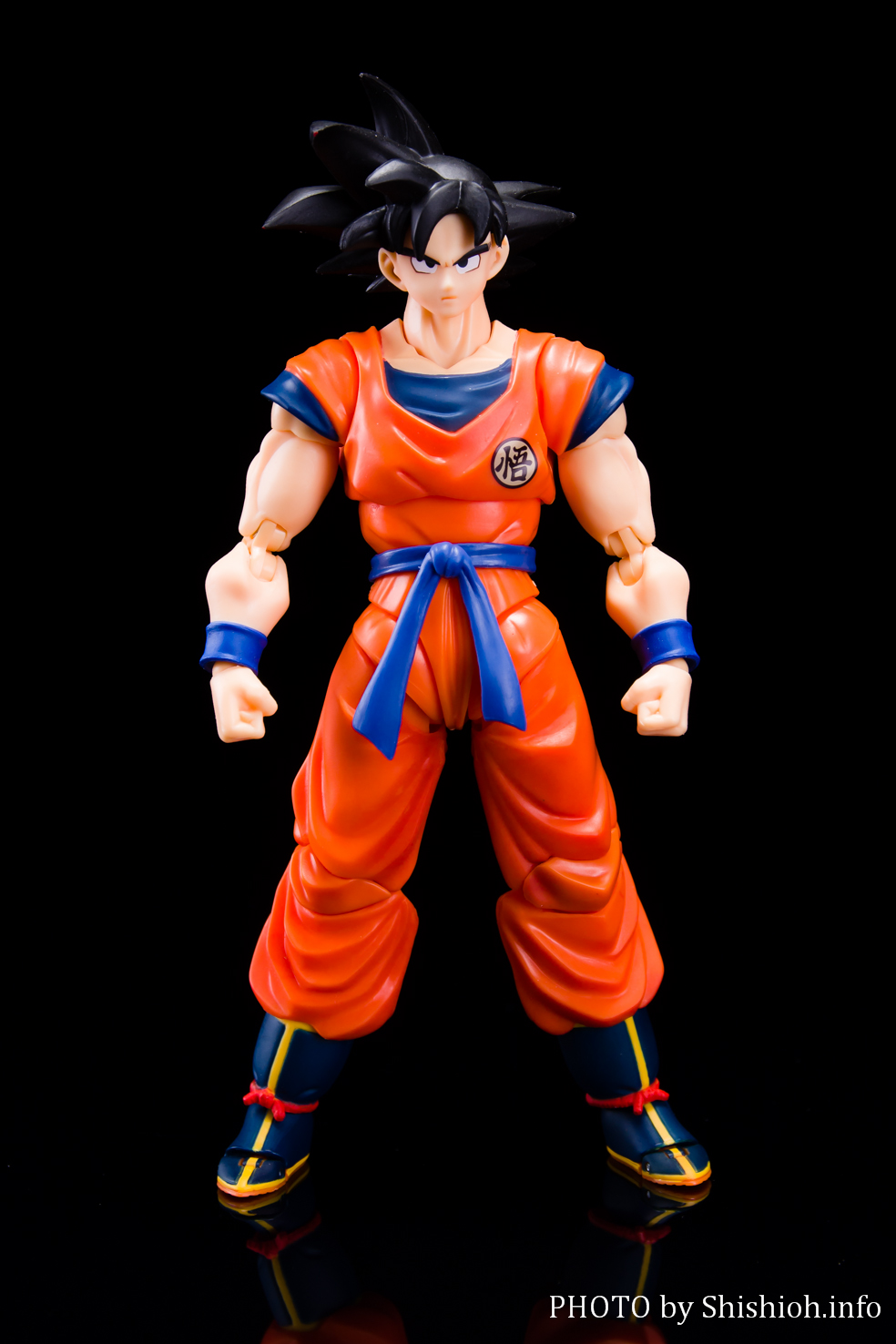 レビュー】S.H.Figuarts 孫悟空-地球育ちのサイヤ人-