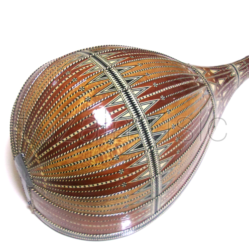 ドゥタール；Professional Dutar｜民族楽器専門店トーザイ