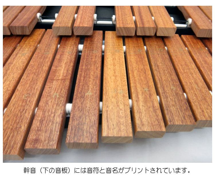 楽天市場】音程が良い木琴【スタンド付き】自宅練習＆学校教育用 卓上
