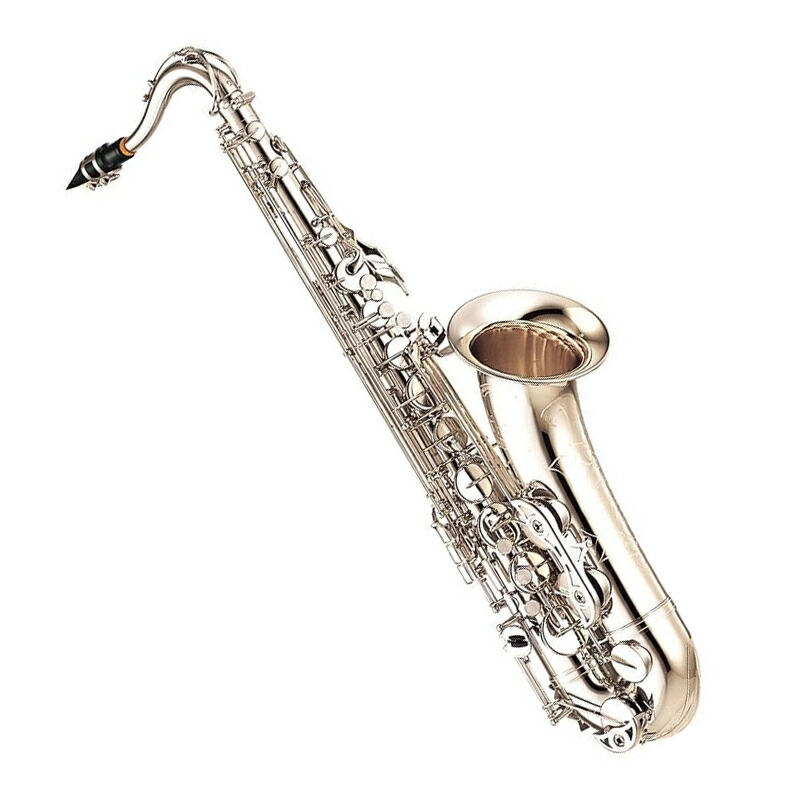 ヤマハ YAMAHA テナーサックス」の人気商品一覧 | 安い商品を通販