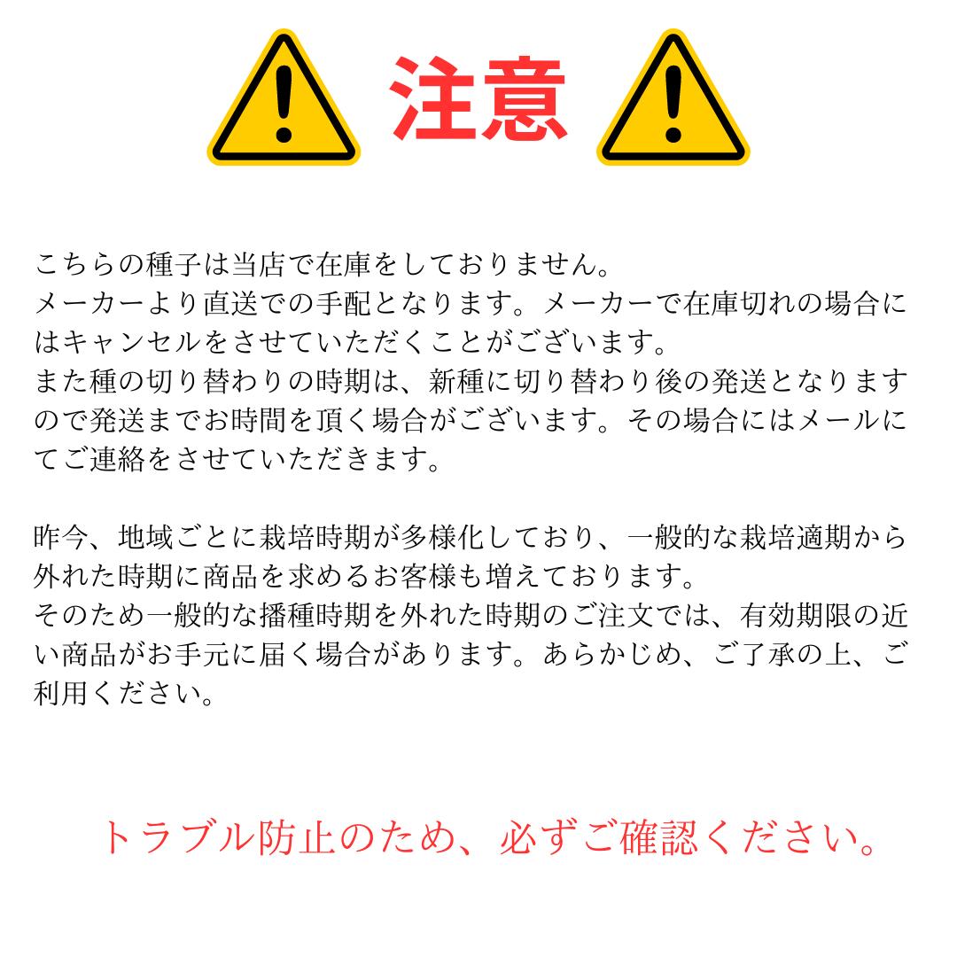 楽天市場】【有効期限2026年9月末】 ブロッコリー 種 おはよう