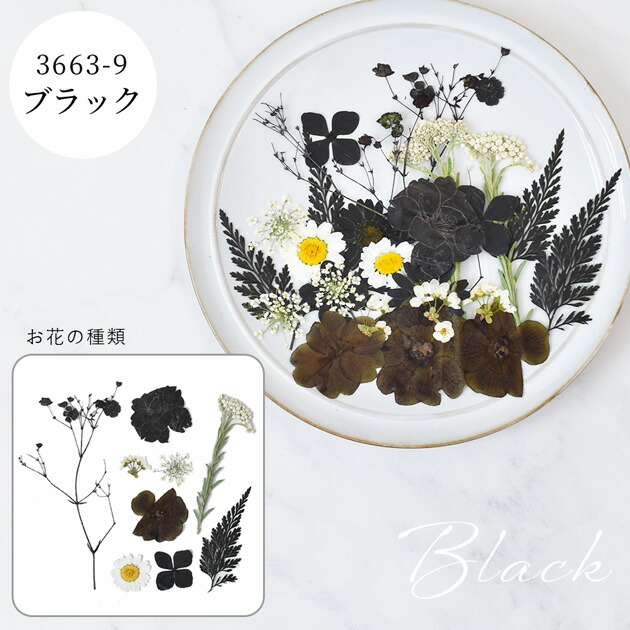楽天市場】押し花 セット 40枚入 全9種 □ドライフラワー ネイル