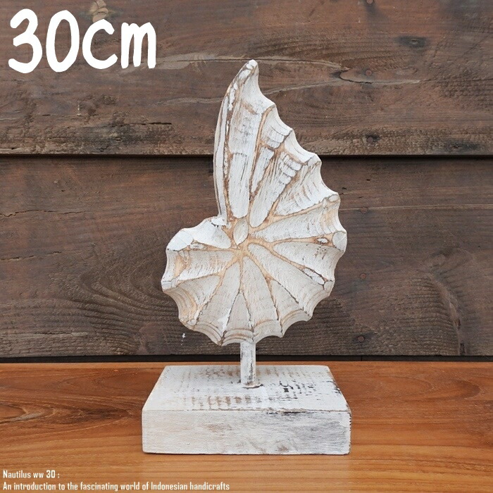 楽天市場】オウムガイ（置物｜インテリア小物・置物）：インテリア