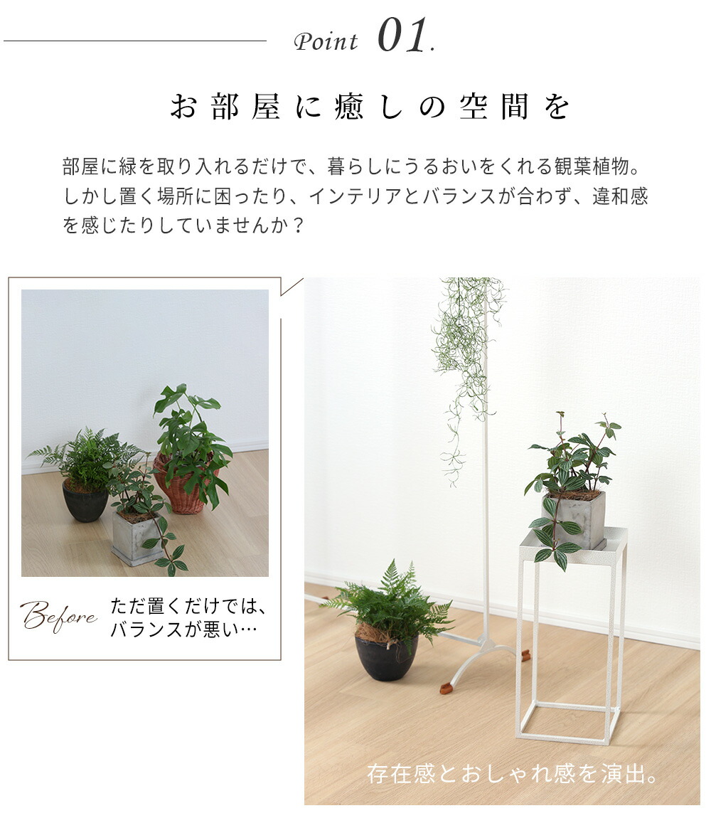 楽天市場】A+ (アクセントプラス) プランタースタンド Rectable-Tray