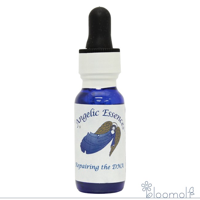 楽天市場】アンジェリック エッセンス dna 64の通販