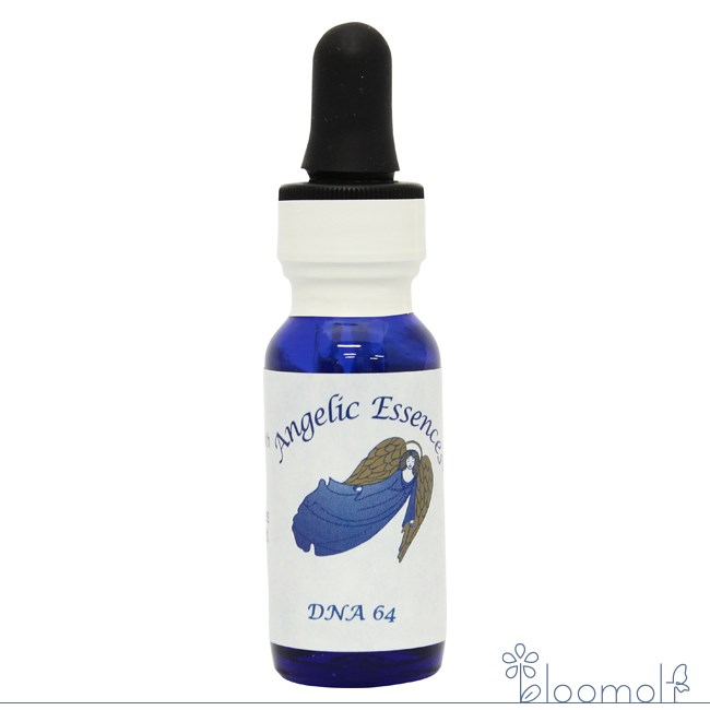 楽天市場】#93 ヒーリング・ザ・ハート・オブ・ザ・ソウル アンジェ