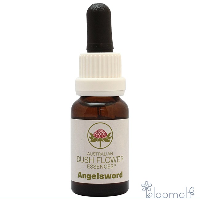 楽天市場】シルバーソード エッセンスの通販