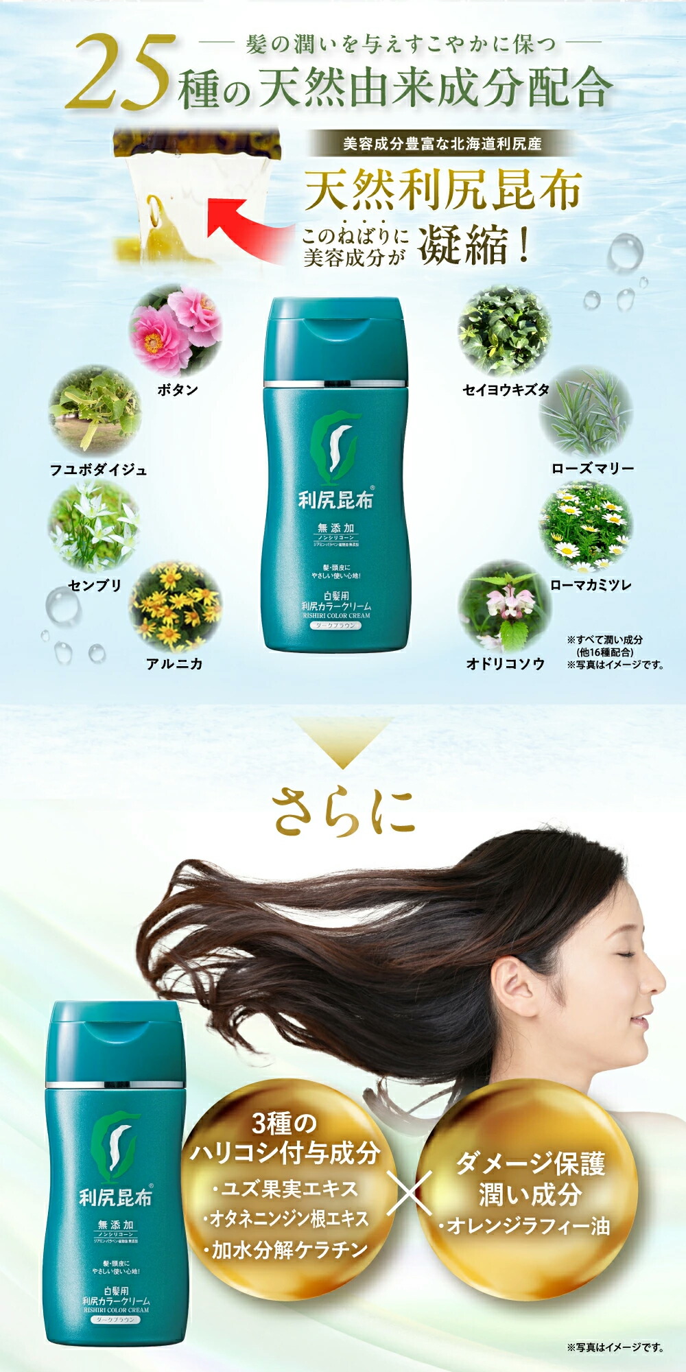 楽天市場】白髪用 利尻カラークリーム 170g サロン級の染め上がり