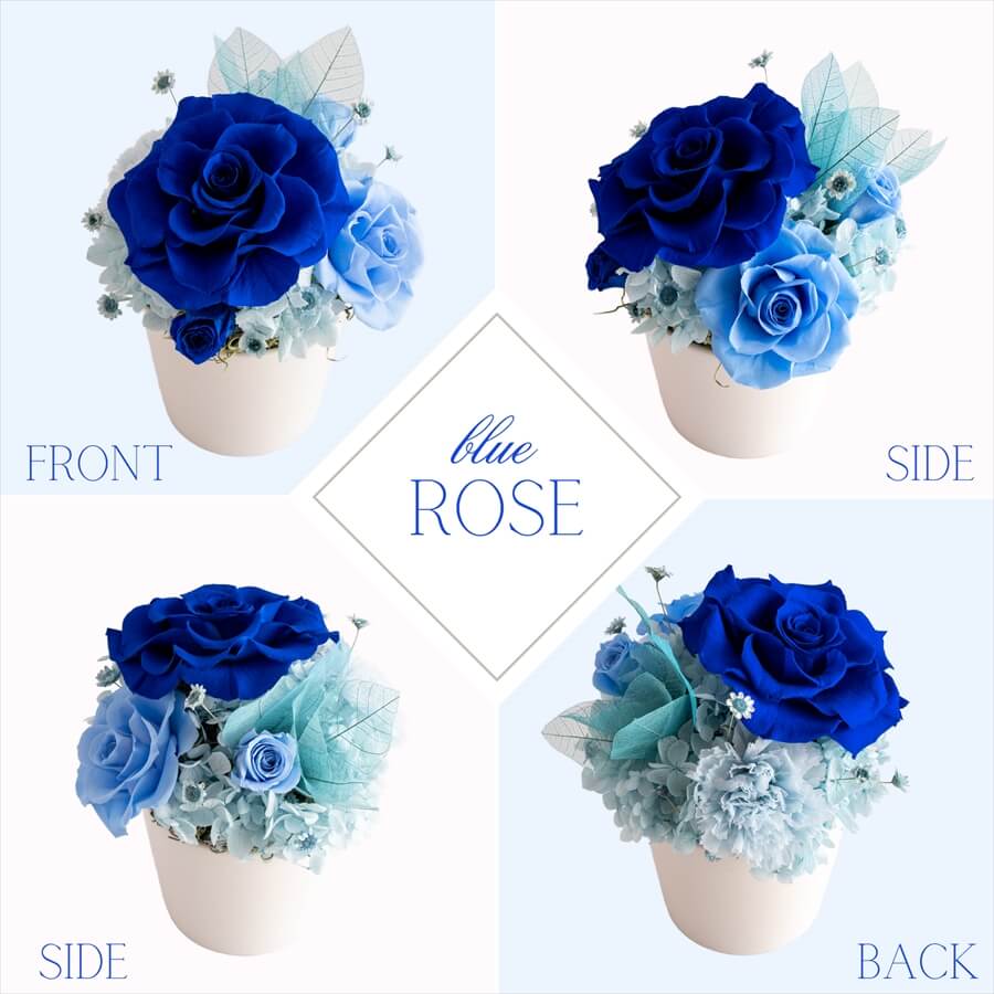 楽天市場】プリザーブドフラワー 青いバラ ブルーローズ 退職祝い 結婚