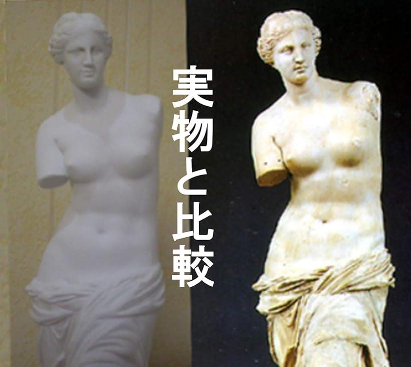 楽天市場】自宅が美術館 石膏像風 人物像 シリーズ 割れにくい カケ