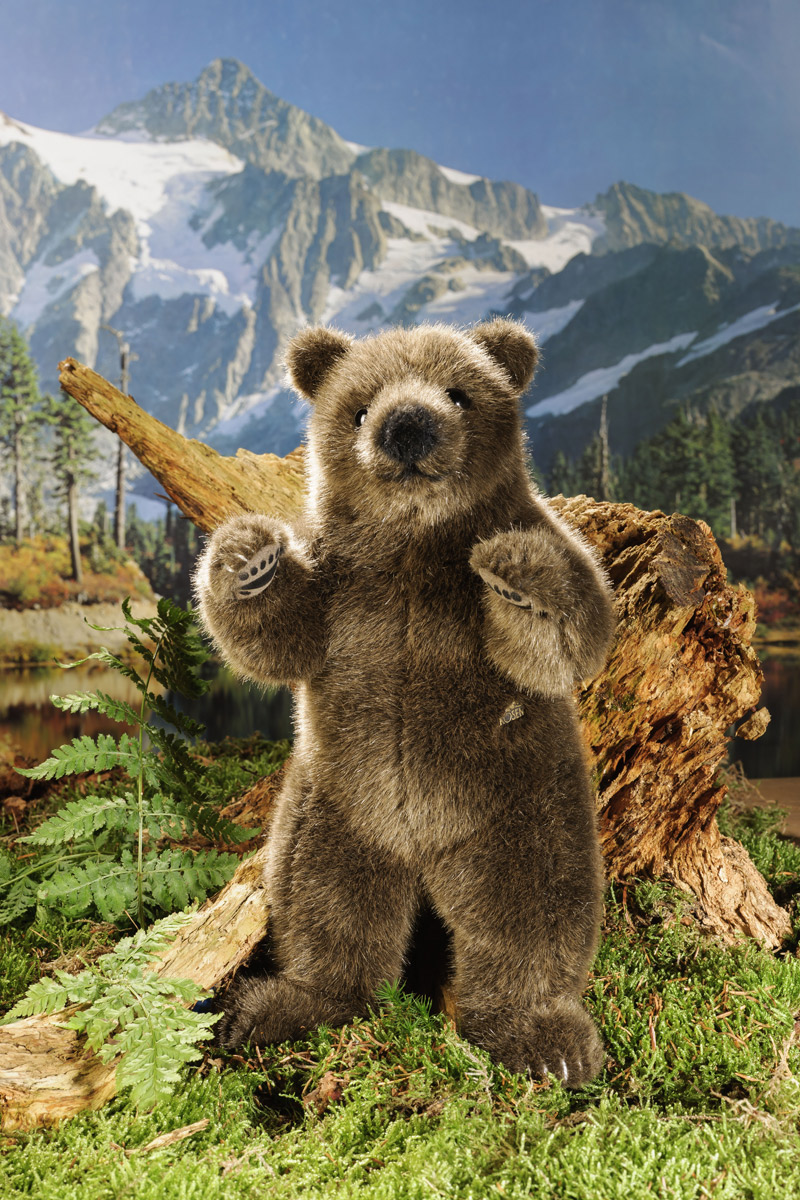 楽天市場】ケーセン ぬいぐるみ Kosen ベア (立ち・小) 30cm Bear