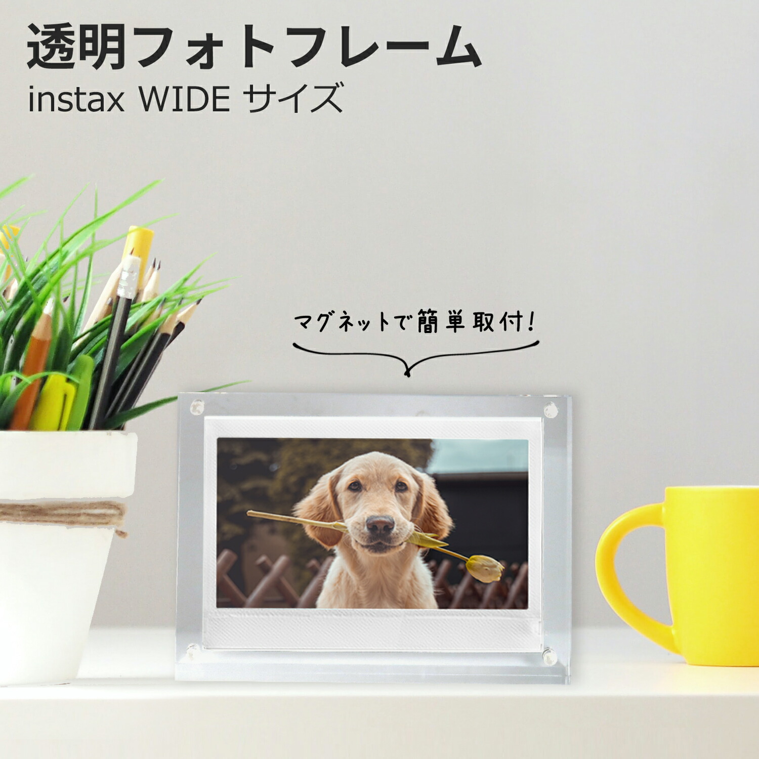 楽天市場】アクリル フォトフレーム 写真立て 透明 【 L判 / 2L判