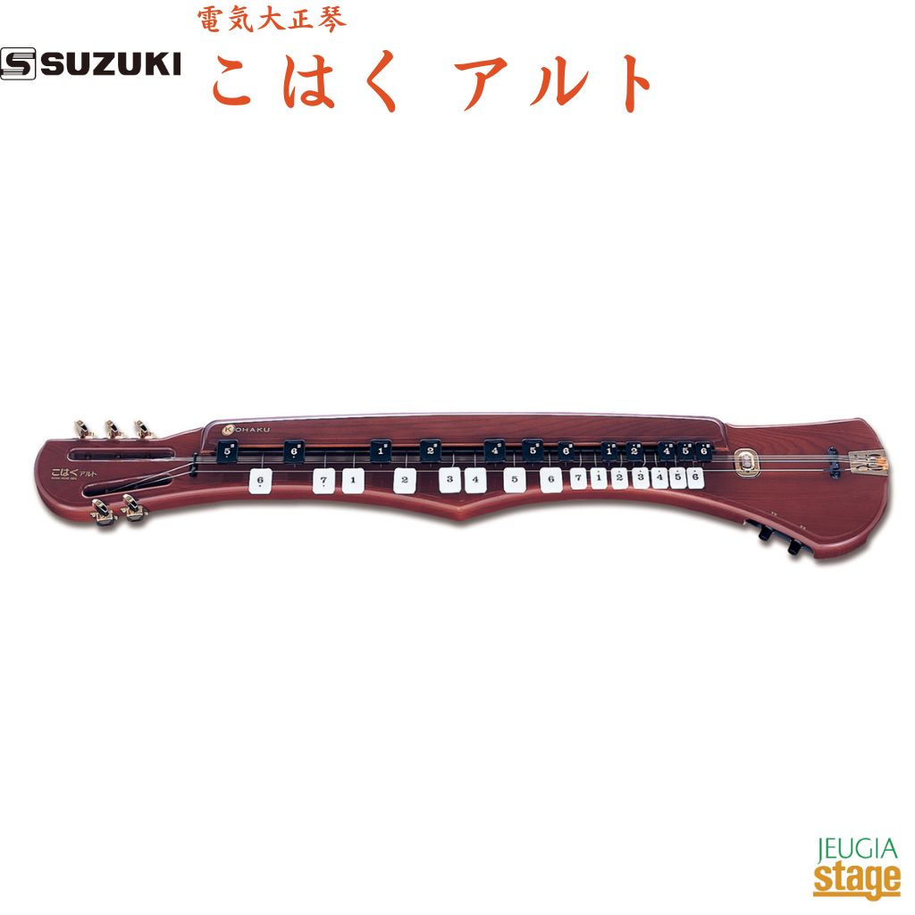 スズキ 楽器 大正琴」の人気商品一覧 | 安い商品を通販サイトから探す