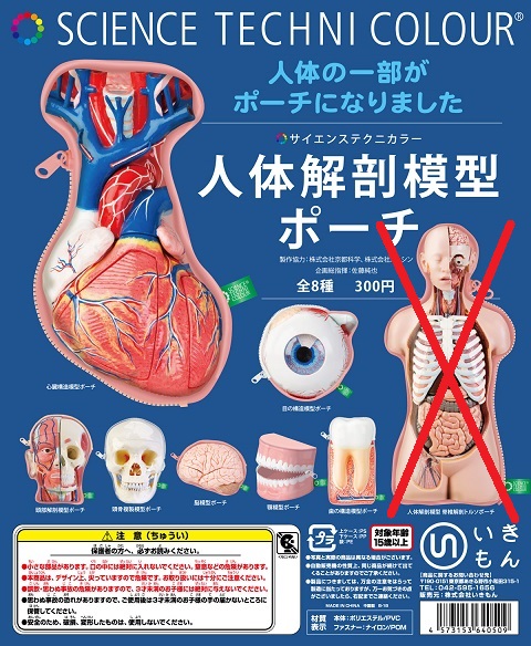 楽天市場】いきもん サイエンステクニカラー 人体解剖模型ポーチ