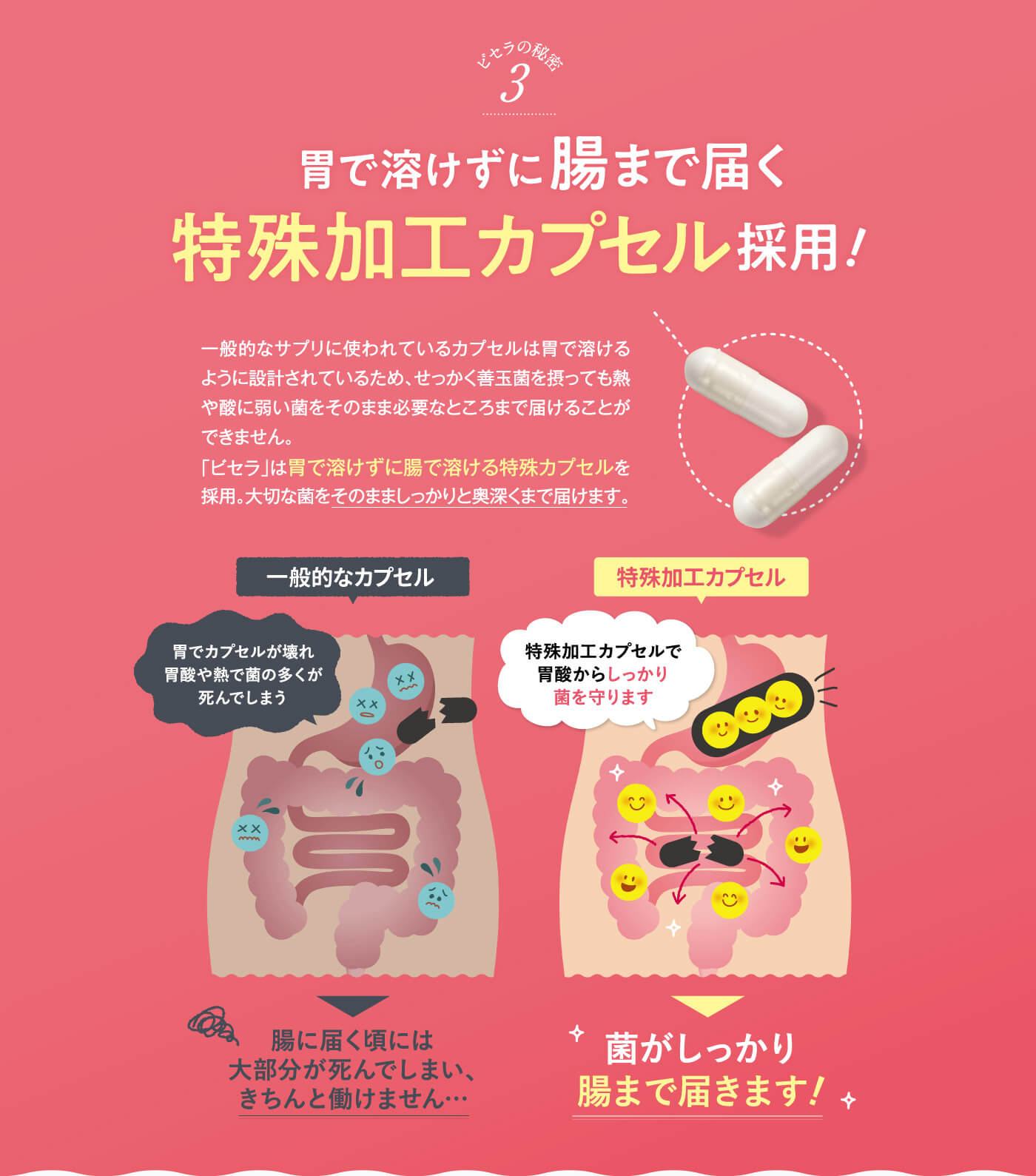 楽天市場】【公式】 ビセラ 3袋セット BISERA 30粒 ダイエット 乳酸菌