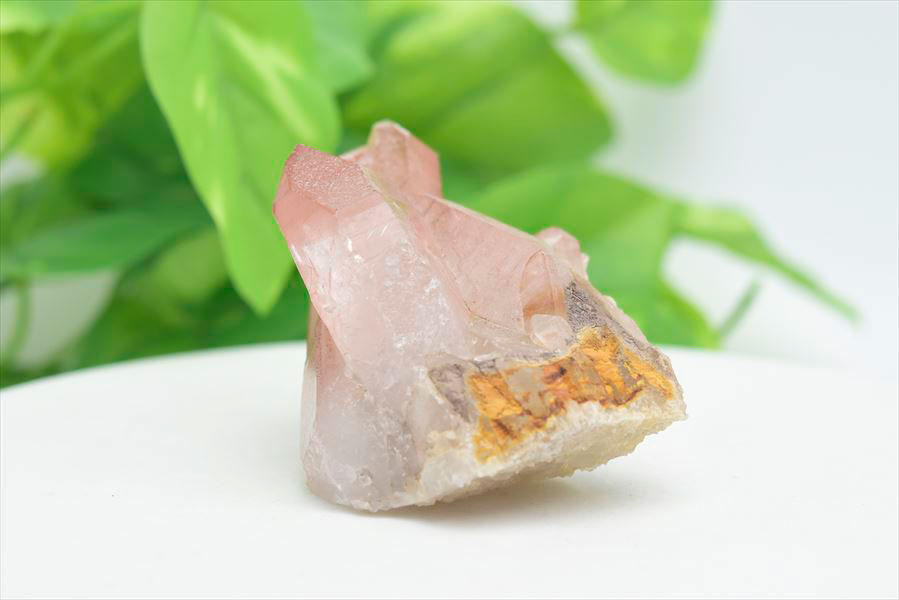 楽天市場】◇限定◇ ピンクレムリアン 非研磨 レムリアンシード