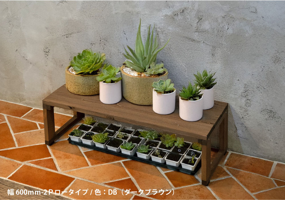 楽天市場】多肉棚 花台ライト1段 幅60cm 70cm 奥行20.5cm 31cm