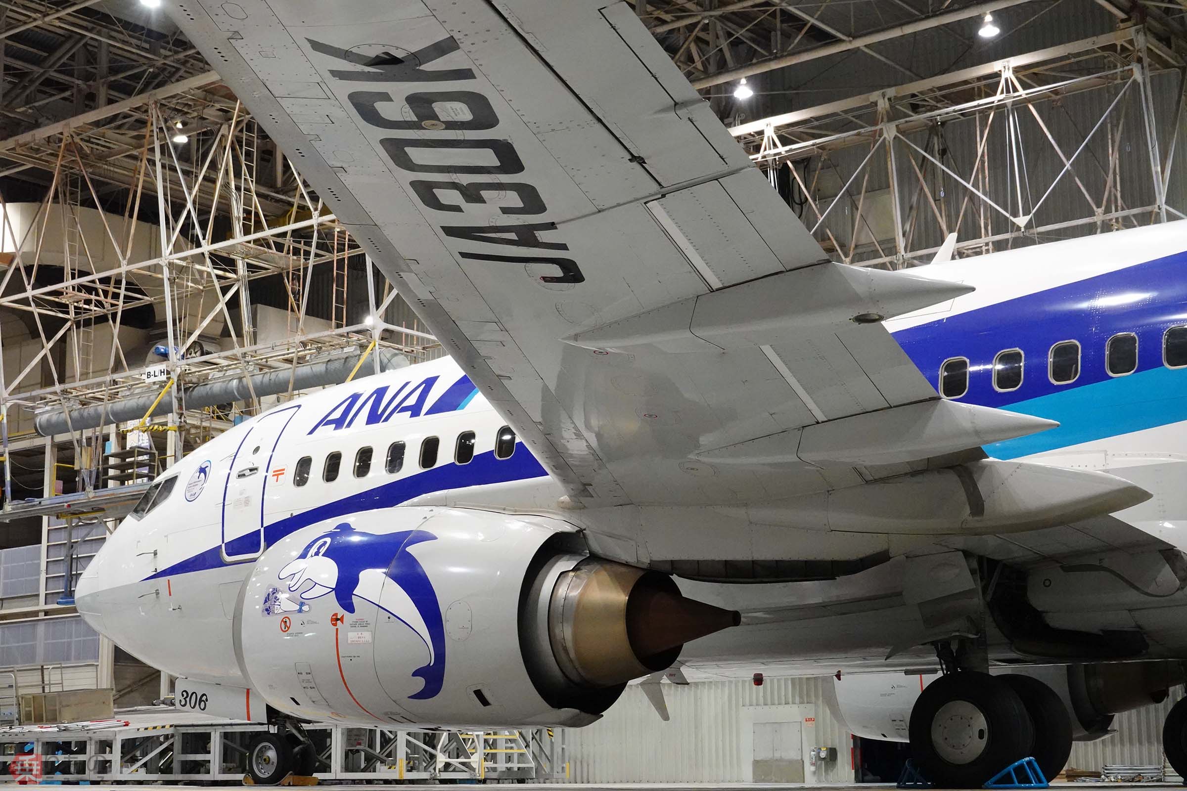 400機近く生産のB737-500のなかでも特別なANA「スーパードルフィン