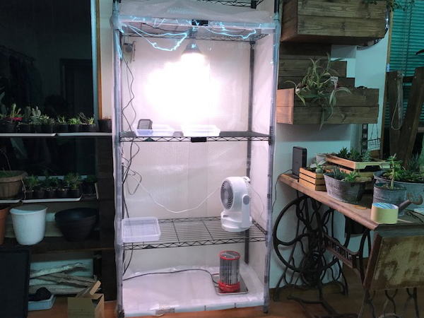 塊根植物 発根管理用 温室の製作 | 塊根植物・コーディックス・多肉