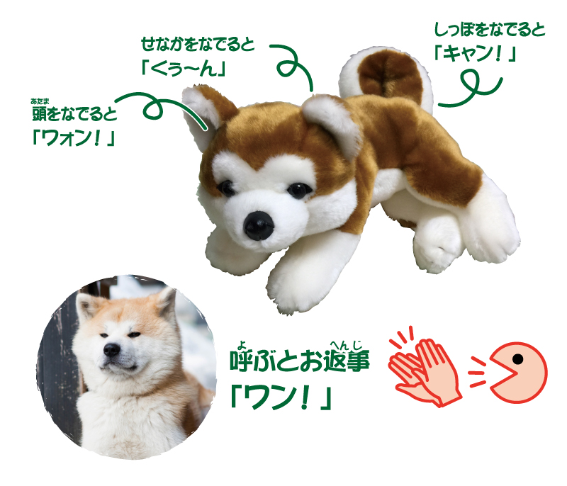 秋田犬 HACHIハチ | TRENDMASTER