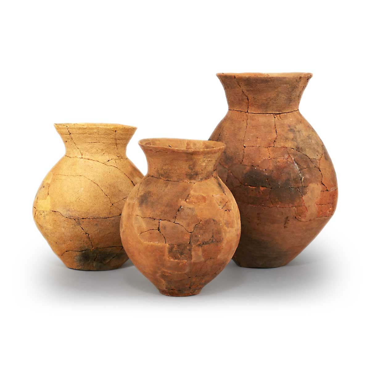 弥生土器 やよいどき | 鶴田 純久の章 お話