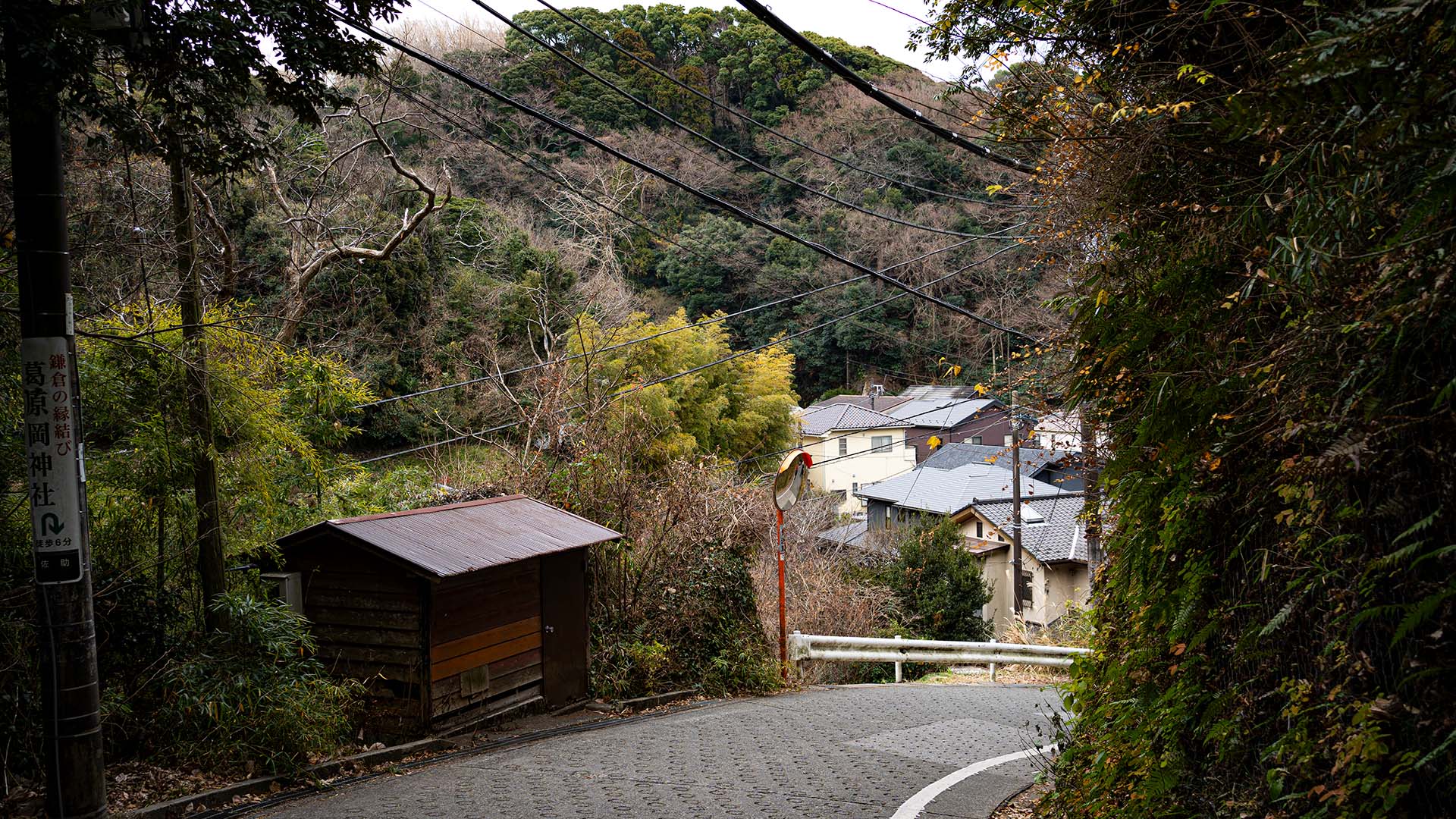 鎌倉散歩 in 2025【前編】〜鶴岡八幡宮・銭洗弁財天と濡れた紙幣