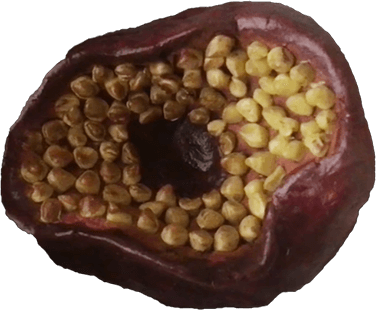 ミステリー - 雨穴WEB