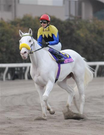 ユキチャンが“ミユキチャン”にまた惜敗｜競馬ニュース｜競馬予想の
