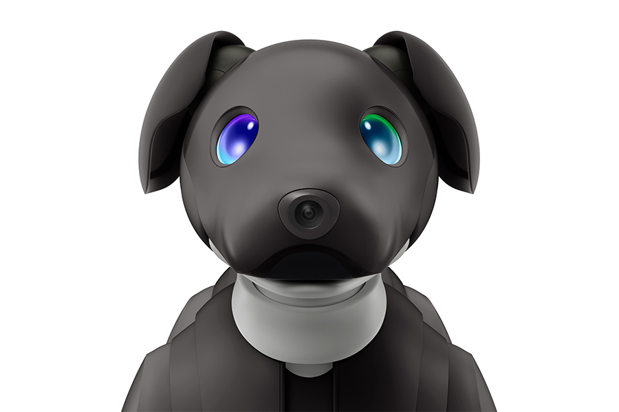 aibo - aibo Espresso Edition