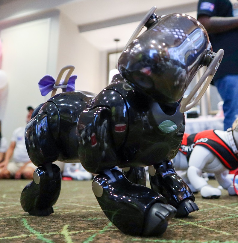 ERS-7 Aibo Overview | Learn About Aibo | Virtual Paws