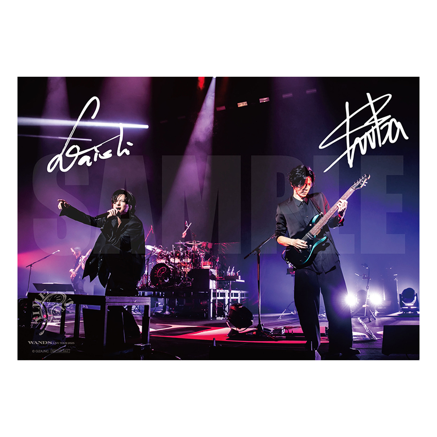 WANDS OFFICIAL WEBSITE