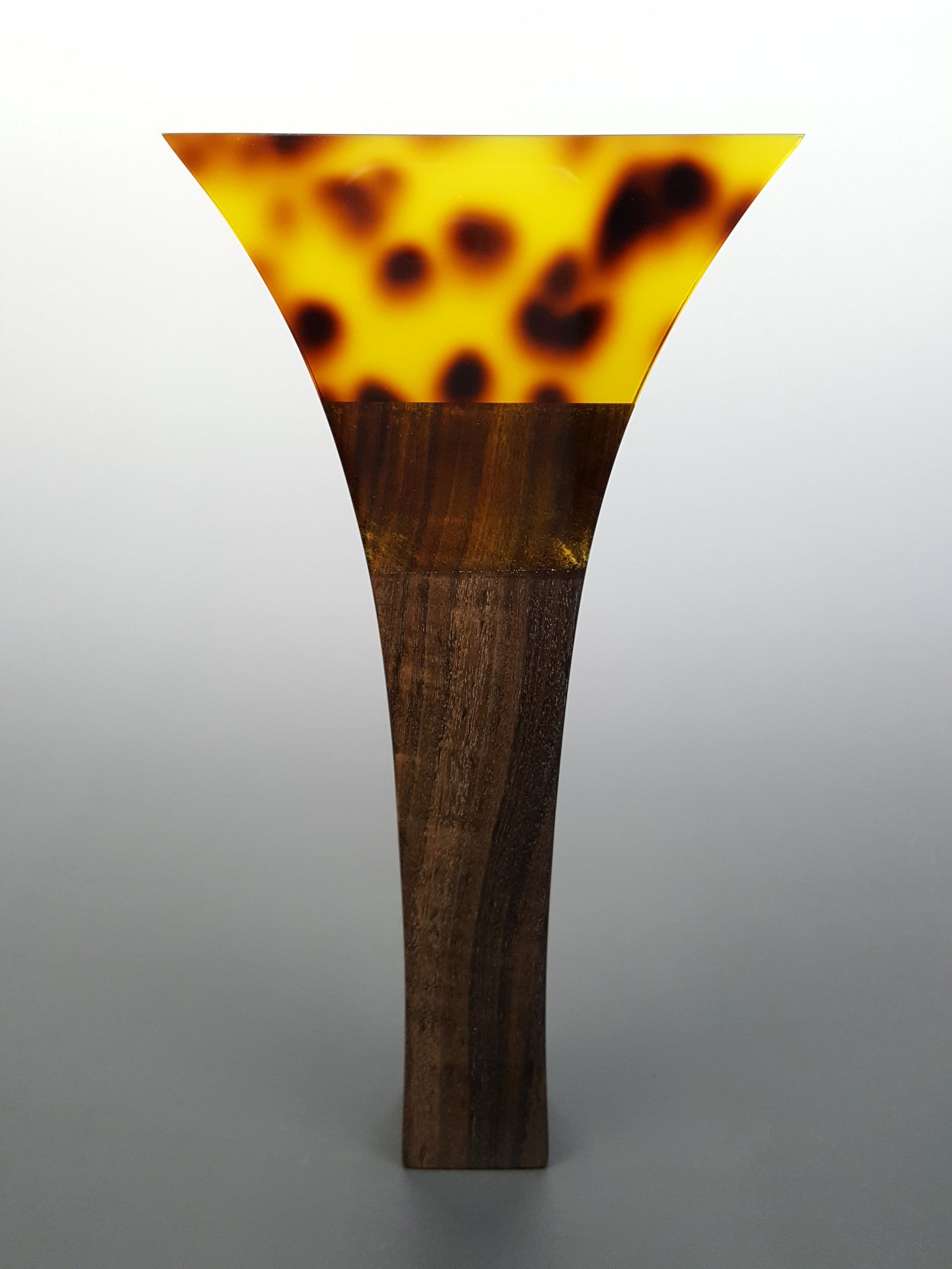 20250826_164454_1600x.jpg?v=