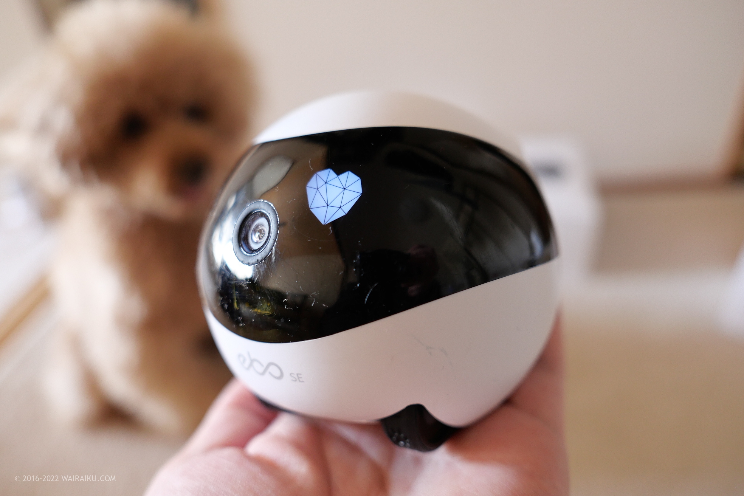 隠れた愛犬も見に行ける！操作する見守りカメラ「ebo SE」（バッテリー