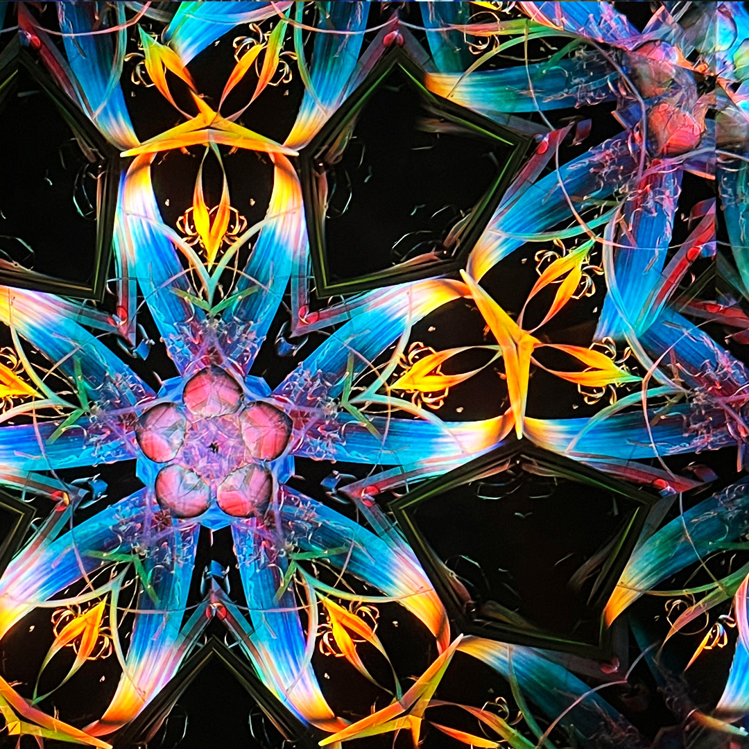 Mirror Cruise カレイドスコープ – 妖 5.H | Mirror Cruise