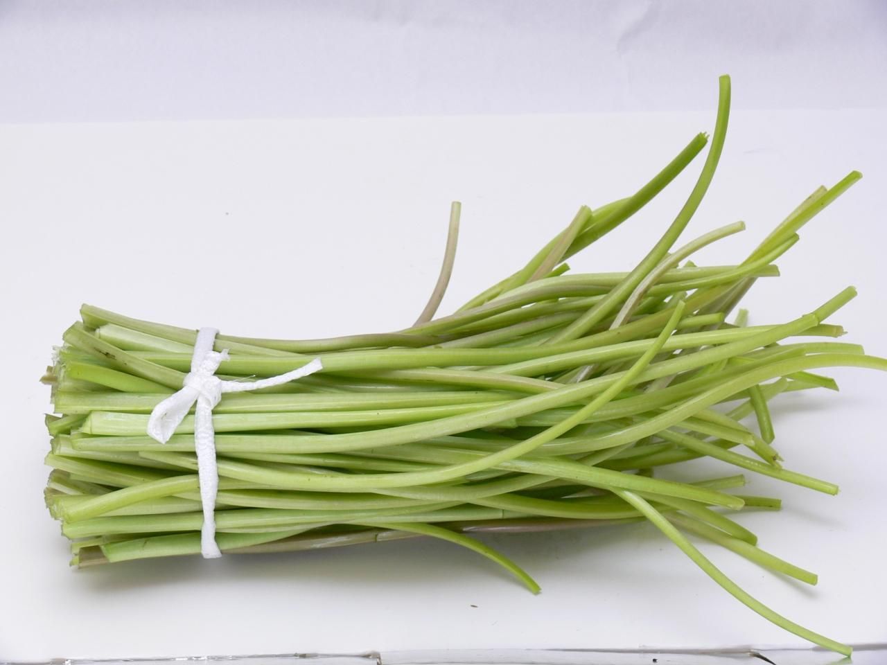 わさび苗 1束（10本） - 静岡市有東木で400年続く日本最古のわさび農家