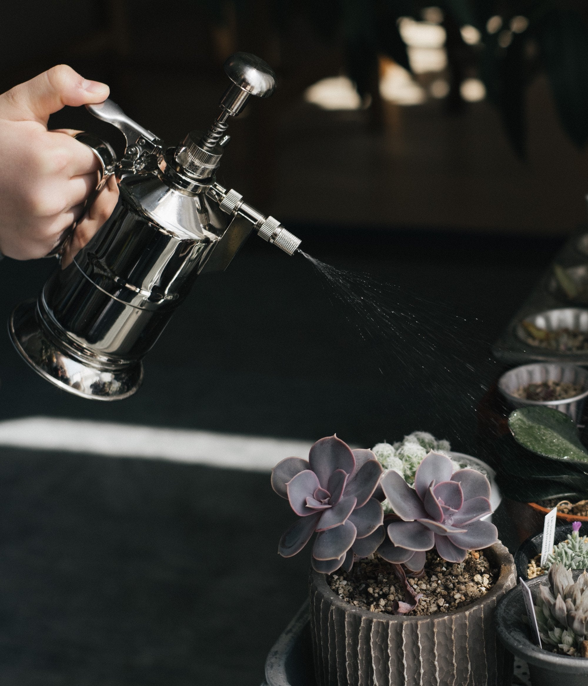 20210303-28_47dbcf9c-817b-489a