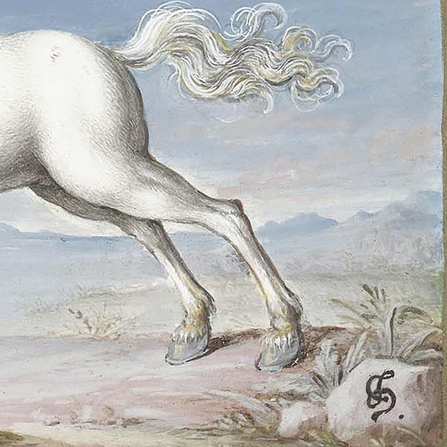 絵画 白馬】 選べるサイズとフレーム アートポスター インテリア – woiac