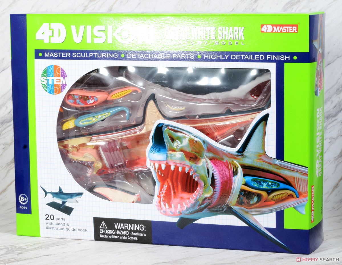 ホオジロ鮫解剖モデル (プラモデル) - ホビーサーチ ミリタリープラモ