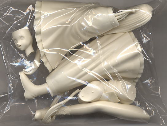 エリカ・フォンティーヌ (ガレージキット) - ホビーサーチ フィギュア